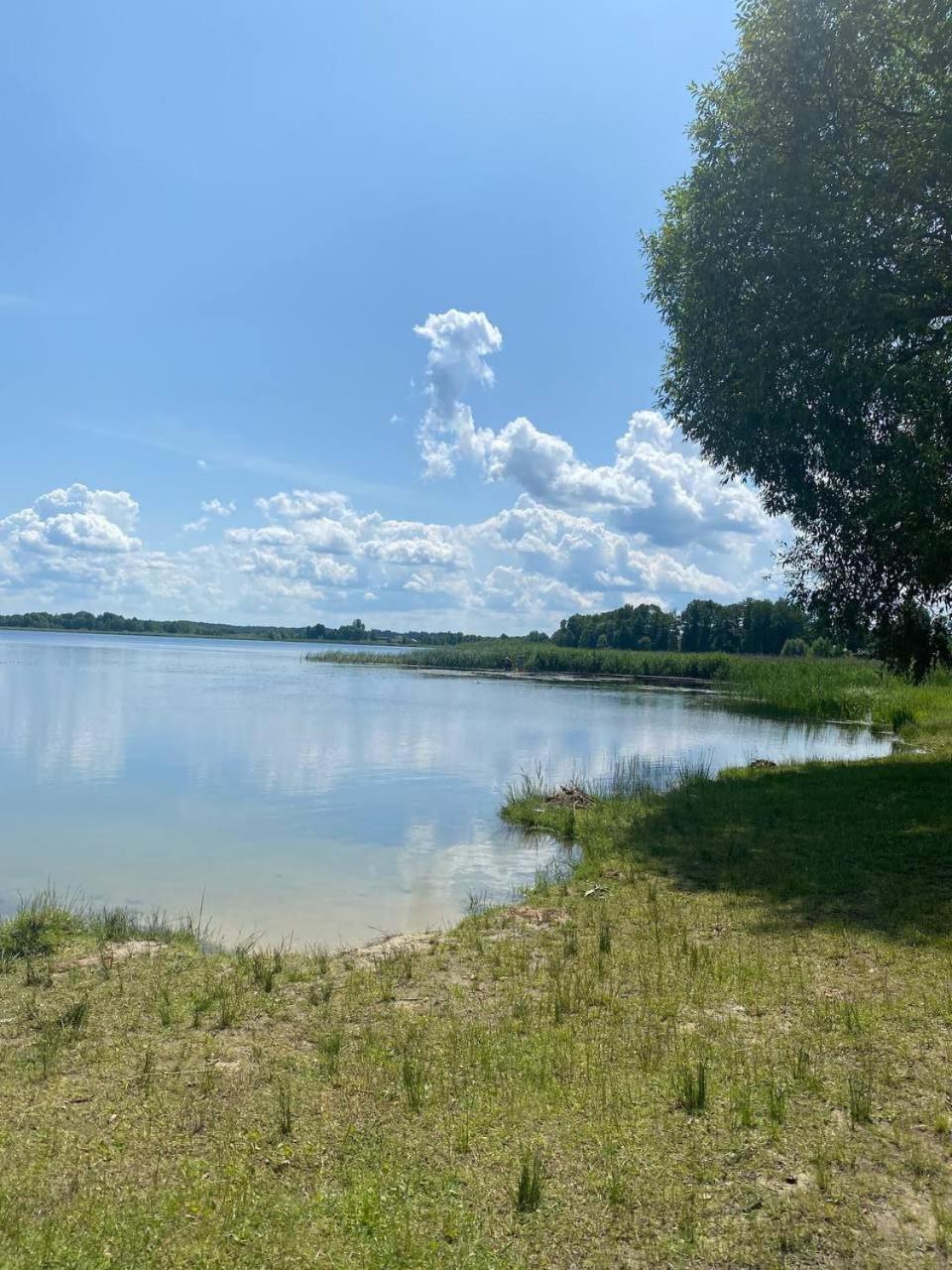 Садиба Орисин Явір Orysyn Yavir Guest House Svityaz' Bagian luar foto